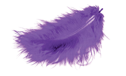 Meyco Marabufedern violett ca.12cm lang 17 Stück